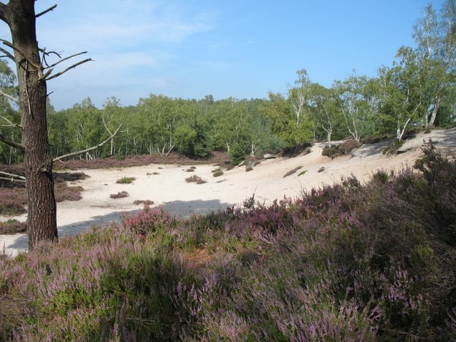 2007 08 Bois de Rochefort 25